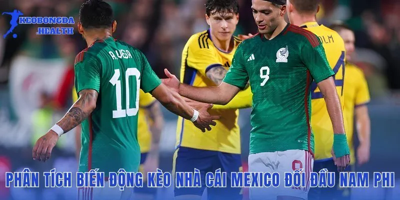 Dòng tiền cá cược và biến động tỷ lệ nhà cái